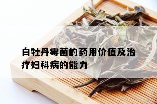 白牡丹霉菌的用价值及治疗妇科病的能力