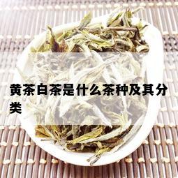 黄茶白茶是什么茶种及其分类