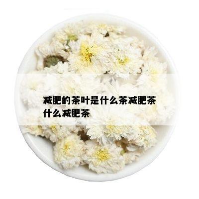 减肥的茶叶是什么茶减肥茶什么减肥茶