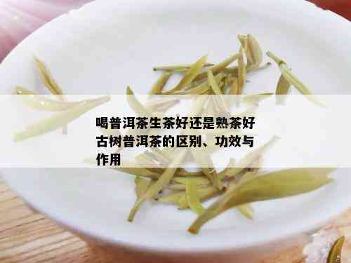 喝普洱茶生茶好还是熟茶好古树普洱茶的区别、功效与作用