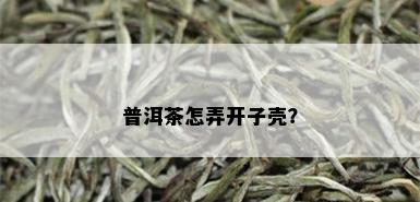 普洱茶怎弄开子壳？