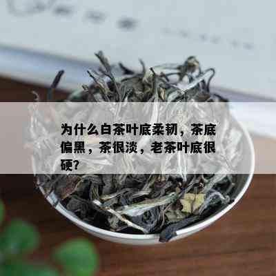 为什么白茶叶底柔韧，茶底偏黑，茶很淡，老茶叶底很硬？