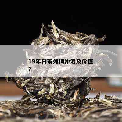 19年白茶如何冲泡及价值？