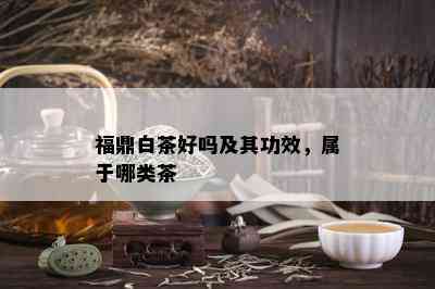 福鼎白茶好吗及其功效，属于哪类茶