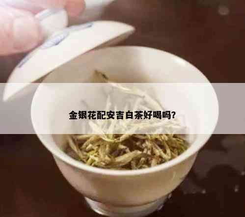 金银花配安吉白茶好喝吗？