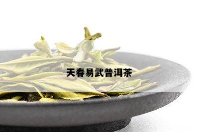 天春易武普洱茶