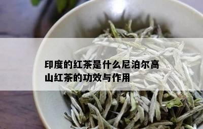 印度的红茶是什么尼泊尔高山红茶的功效与作用