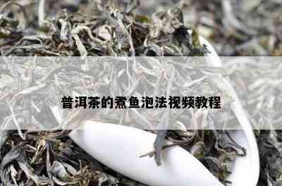 普洱茶的煮鱼泡法视频教程