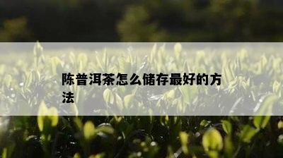 陈普洱茶怎么储存更好的方法