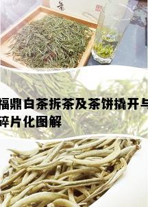 福鼎白茶拆茶及茶饼撬开与碎片化图解