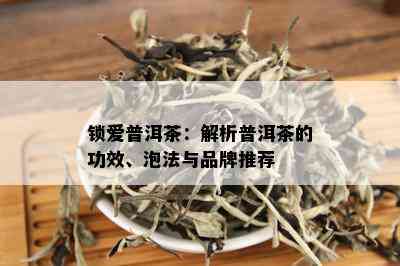 锁爱普洱茶：解析普洱茶的功效、泡法与品牌推荐