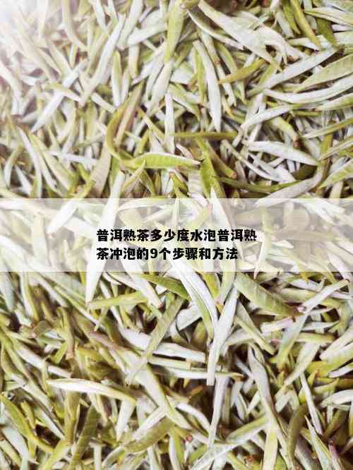 普洱熟茶多少度水泡普洱熟茶冲泡的9个步骤和方法