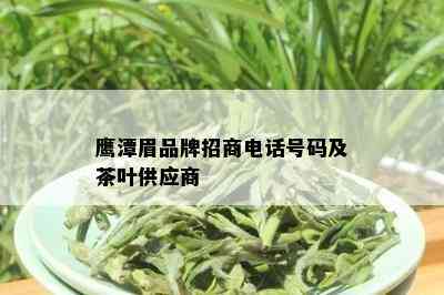 鹰潭眉品牌招商电话号码及茶叶供应商