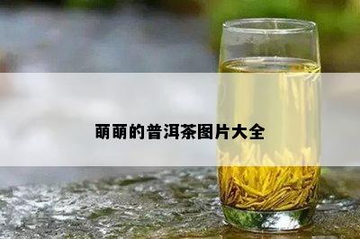 萌萌的普洱茶图片大全