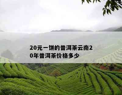 20元一饼的普洱茶云南20年普洱茶价格多少