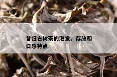 昔归古树茶的泡发、存放和口感特点