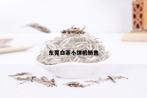 东莞白茶小饼机销售