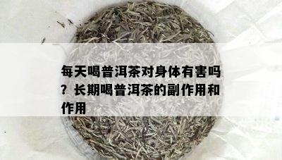 每天喝普洱茶对身体有害吗？长期喝普洱茶的副作用和作用