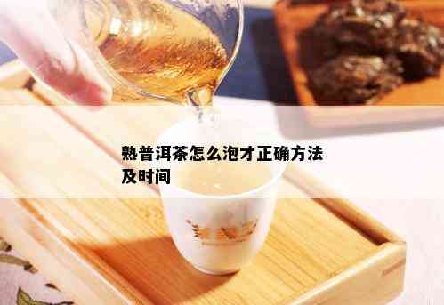 熟普洱茶怎么泡才正确方法及时间