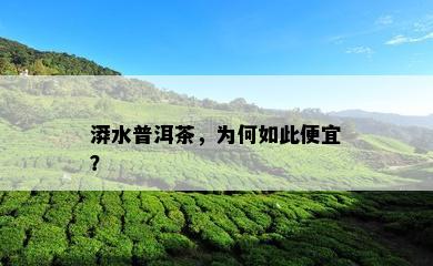 漭水普洱茶，为何如此便宜？