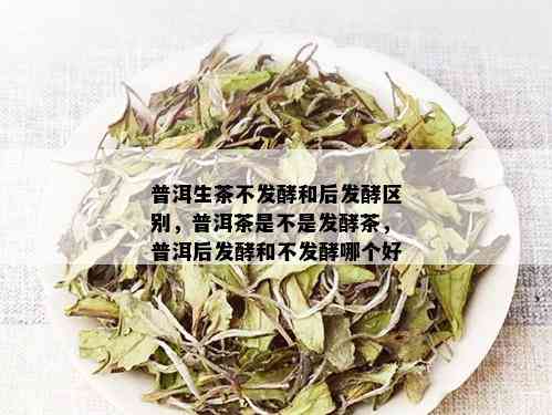 普洱生茶不发酵和后发酵区别，普洱茶是不是发酵茶，普洱后发酵和不发酵哪个好