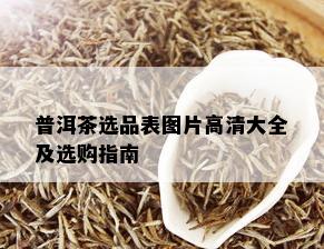 普洱茶选品表图片高清大全及选购指南