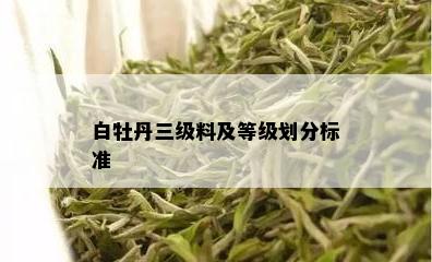 白牡丹三级料及等级划分标准