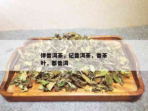 律普洱茶，记普洱茶，普茶叶，郡普洱