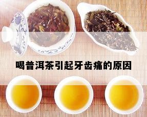 喝普洱茶引起牙齿痛的原因