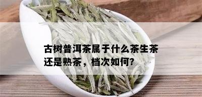 古树普洱茶属于什么茶生茶还是熟茶，档次如何?