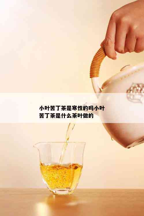 小叶苦丁茶是寒性的吗小叶苦丁茶是什么茶叶做的