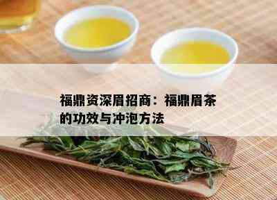 福鼎资深眉招商：福鼎眉茶的功效与冲泡方法