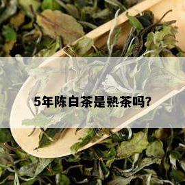 5年陈白茶是熟茶吗？