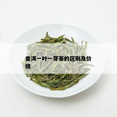 普洱一叶一芽茶的区别及价格