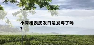 小青柑表皮发白是发霉了吗？