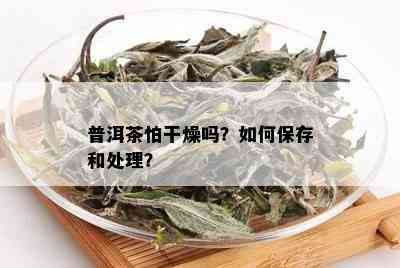 普洱茶怕干燥吗？如何保存和处理？