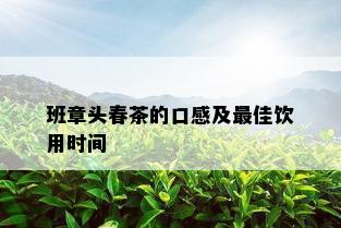 班章头春茶的口感及更佳饮用时间