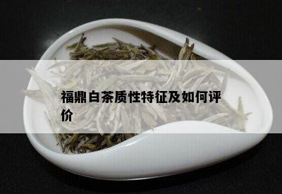 福鼎白茶质性特征及如何评价