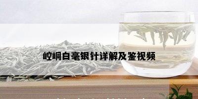 崆峒白毫银针详解及鉴视频