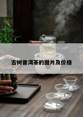 古树普洱茶的图片及价格