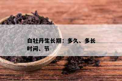 白牡丹生长期：多久、多长时间、节