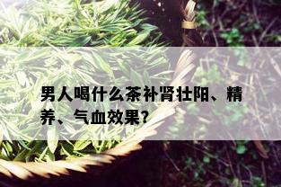 男人喝什么茶补肾壮阳、精养、气血效果？