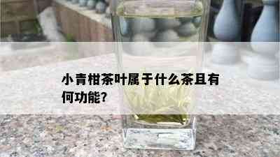 小青柑茶叶属于什么茶且有何功能？