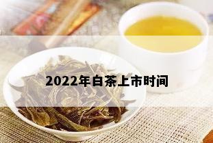 2022年白茶上市时间