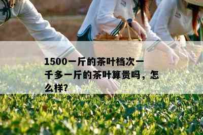 1500一斤的茶叶档次一千多一斤的茶叶算贵吗，怎么样？