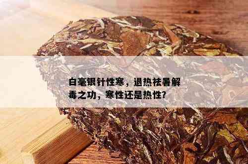 白毫银针性寒，退热祛暑解之功，寒性还是热性？