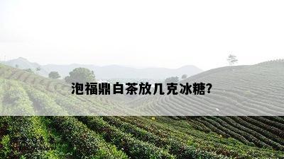 泡福鼎白茶放几克冰糖？