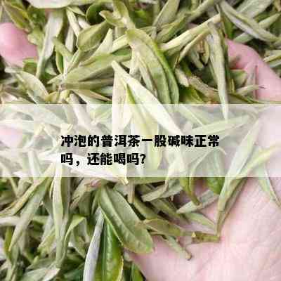 冲泡的普洱茶一股碱味正常吗，还能喝吗？