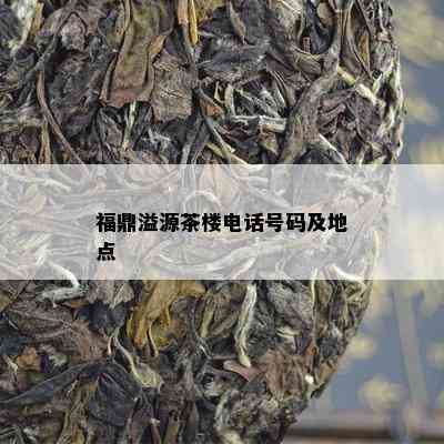 福鼎溢源茶楼电话号码及地点