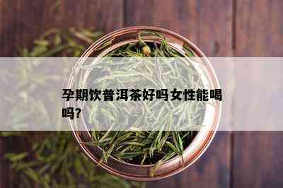 孕期饮普洱茶好吗女性能喝吗？